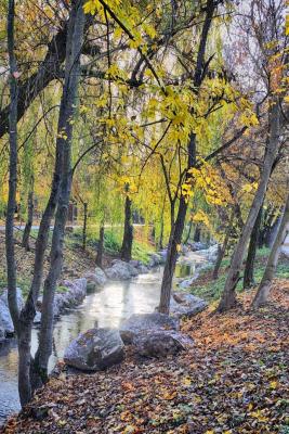 Прикрепленное изображение: IMG_4305-HDR.jpg